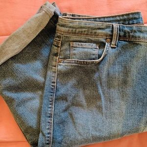 Style & Co Skimmer jeans